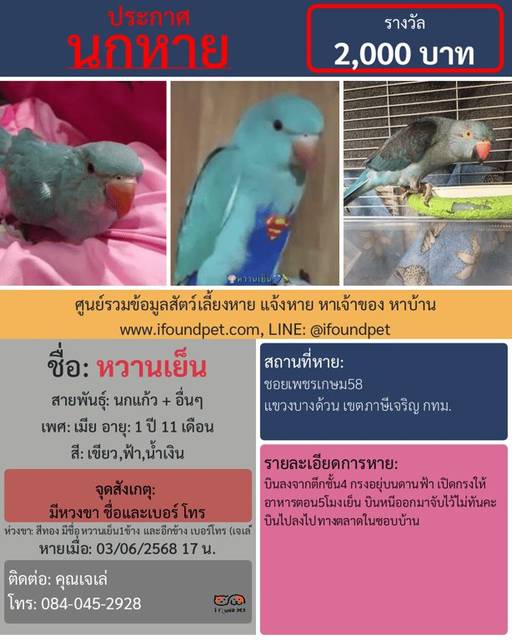 นก เขียว ฟ้า น้ำเงิน มีหวงขา ชื่อและเบอร์ โทร