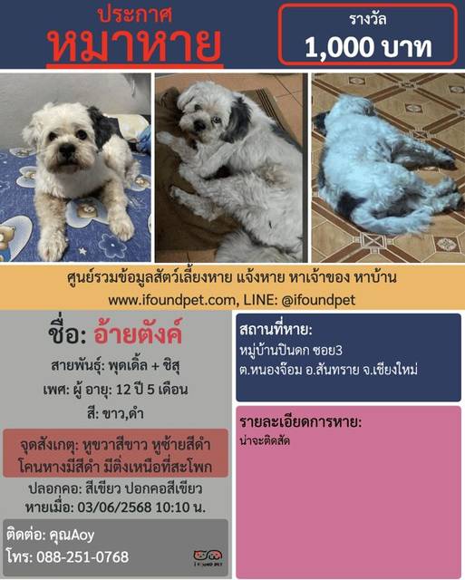สุนัข ขาว ดำ หูขวาสีขาว หูซ้ายสีดำ โคนหางมีสีดำ มีติ่งเหนือที่สะโพก · สีเขียว ปอกคอสีเขียว