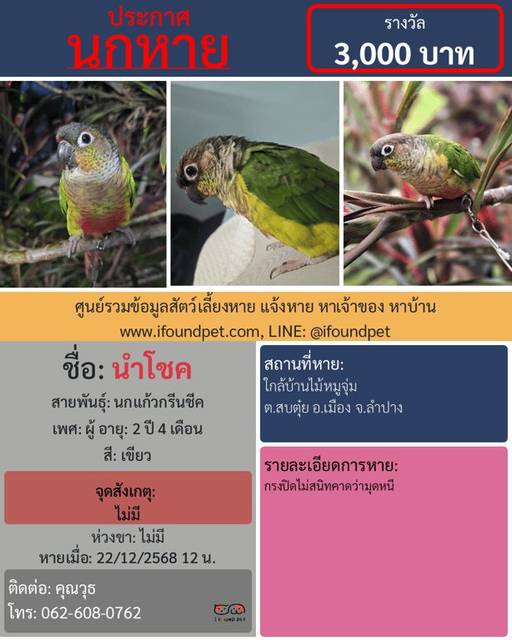นก เขียว ไม่มี