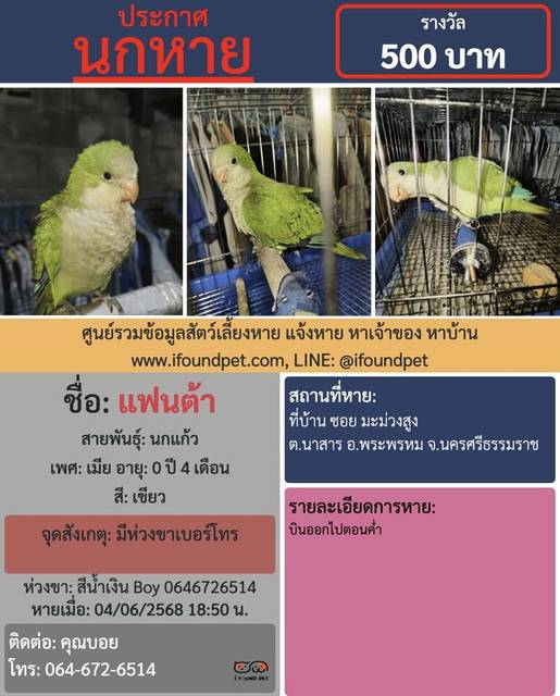 นก เขียว มีห่วงขาเบอร์โทร