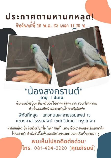 นก เขียว เทา ชอบเดินกับพื้น เรียกหาคน ติดคน