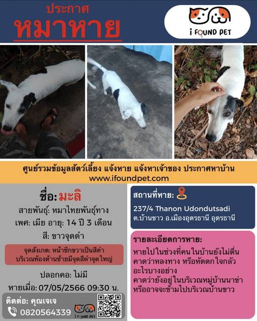 สุนัข ขาว ดำ หน้าซีกนึงเป็นสีดำ บริเวณท้องด้านมีจุดสีดำจุดใหญ่ · ไม่มี