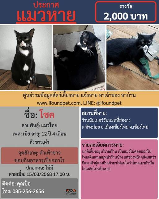 แมว ขาว ดำ ดำเท้าขาว ชอบกินอาหารเปรียกทาโร่ · ไม่มี