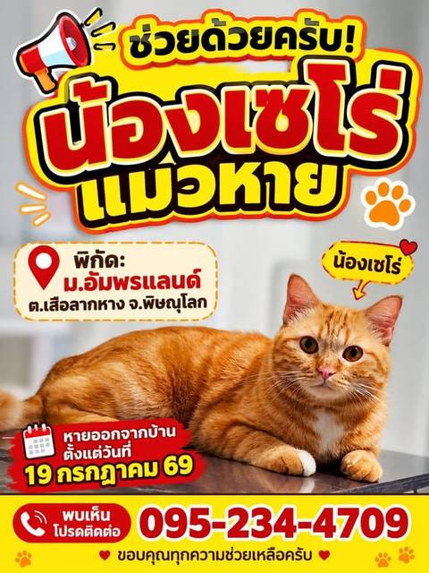 แมว ส้ม หน้าอกสีขาว มีจุดสีน้ำตาลที่ขอบปาก · ไม่มี