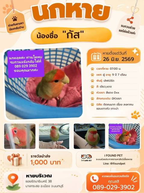 นก เขียว แดง มีห่วงขา
