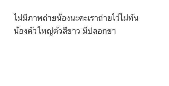 สุนัข สีขาว น้องตัวใหญ่ ใส่ปลอกคอ ตัวสีขาว เราเจอตรงโค้งสนามบินแพร่นะคะเหมือนน้องจะเจ็บขาอยู่ด้วยแต่เราไม่สามารถช่วยอะไรน้องได้เรายังเป็นเด็กอยู่