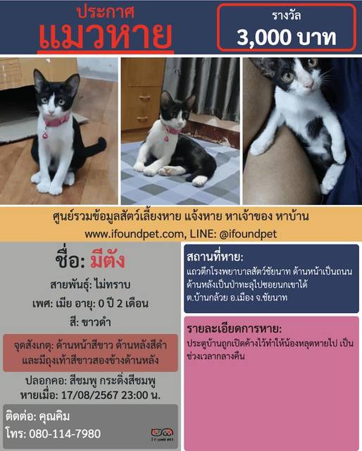 แมว ขาวดำ ด้านหน้าสีขาว ด้านหลังสีดำ และมีถุงเท้าสีขาวสองข้างด้านหลัง · สีชมพู กระดิ่งสีชมพู