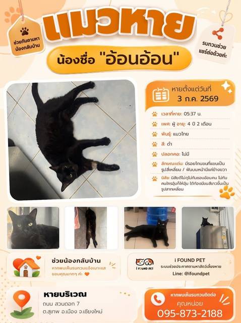 แมว ดำ มีรอยโกนขนที่แขนเป็นรูปสี่เหลี่ยม / ฟันบนหน้ามีแค่ข้างขวาเพราะถอนฟันมาหมดแล้ว · ไม่มี