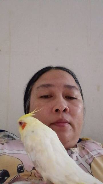 นก เหลือง เล็บยาวงุ้ม