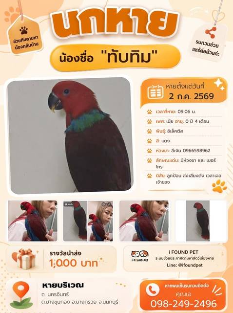 นก แดง มีห่วงขา และ เบอร์โทร