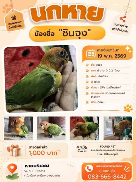 นก เขียว ห่วงขาพร้อมเบอร์โทรศัพท์