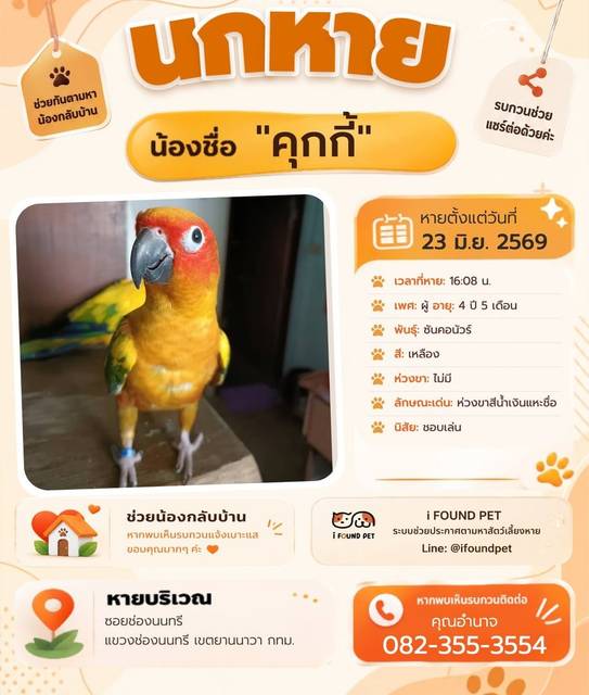 นก เหลือง ห่วงขาสีน้ำเงินแหะชื่อ