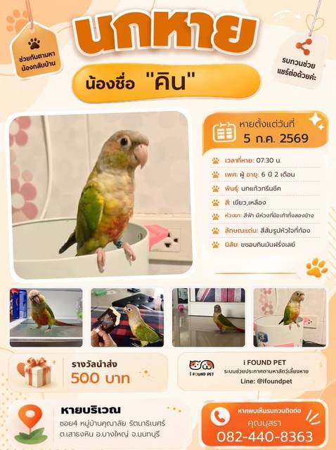 นก เขียว เหลือง สีส้มรูปหัวใจที่ท้อง